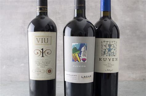 4 Good Reasons to Drink Chilean Wine | Wine Enthusiast