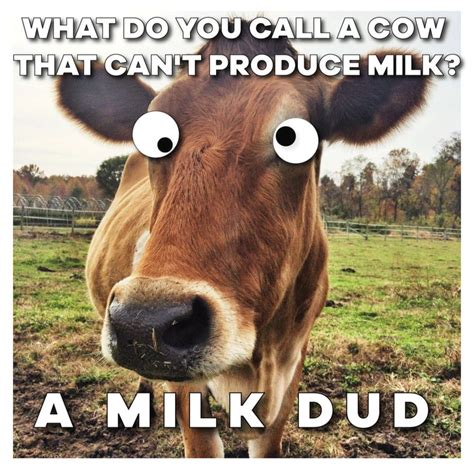 i love milk duds - Meme by infinite_memes :) Memedroid