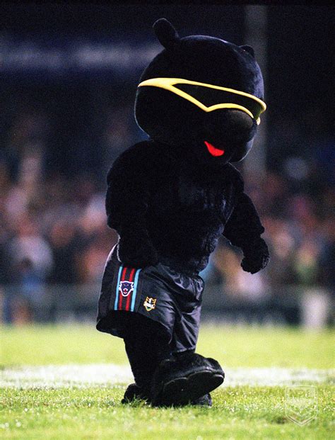 Penrith Panthers Mascot Penrith Panthers, Mascot