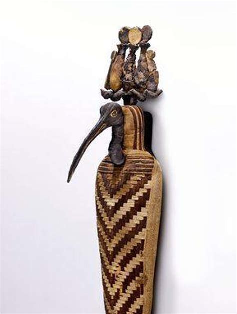 Ancient Mummified Animals: All About Animal Mummies