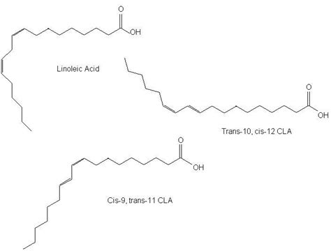 Conjugated Linoleic Acid and Cancer