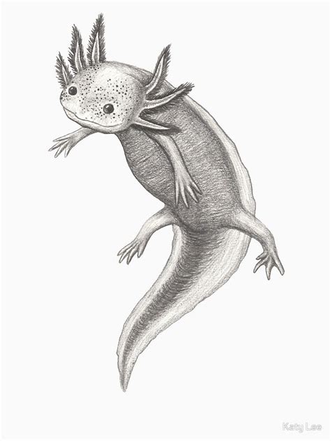 Floating Axolotl by katylee | Cute animal drawings, Fish drawings, Animal drawings