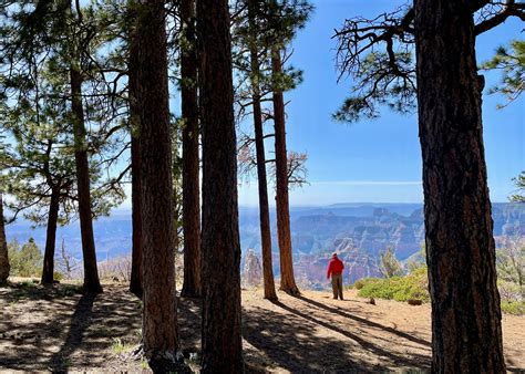 North Rim Campground Camping | The Dyrt