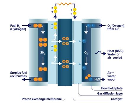 How Do Hydrogen Fuel Cells Work? - Climatebiz