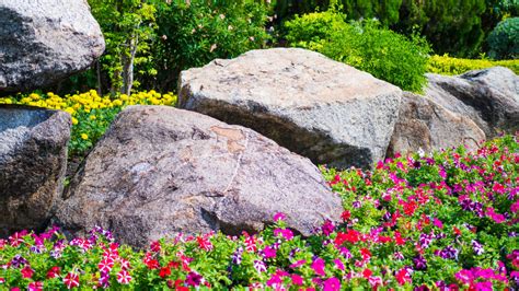 Landscape Boulders Guide: Enhance Your Yard With Decorative Boulders