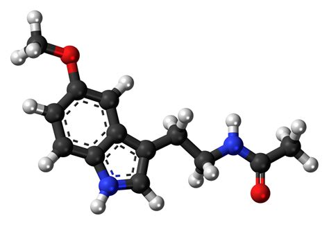 Difference Between Melanin and Melatonin