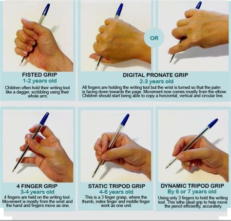 Normal development of pencil grasp | Pencil grasp development ...