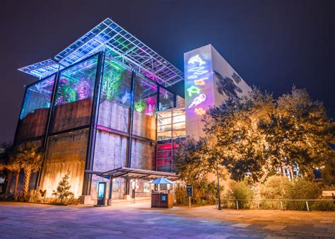 Aquarium Aglow Holiday Lights | Downtown Charleston SC