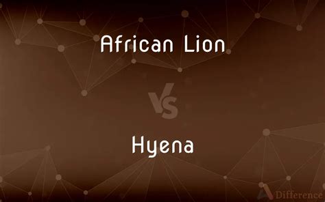 African Lion vs. Hyena — What’s the Difference?