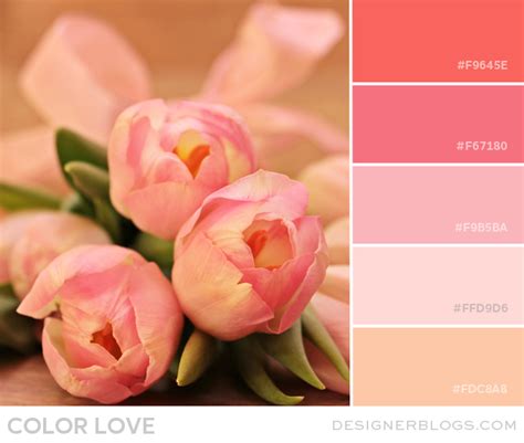 Color Love | Tulip Pink & Peach - Designer Blogs