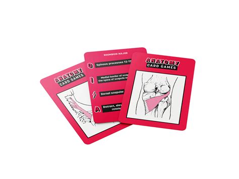 Anatomy Card Games | Musculoskeletal Anatomy flashcards