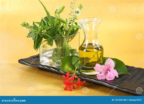 Ayurvedic Oil or Herbal Hair Oil with Herbs Stock Photo - Image of herb, leaves: 101529148