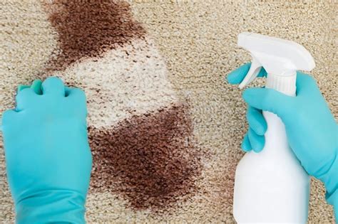 Best Stain Remover Products for Carpets (UK)