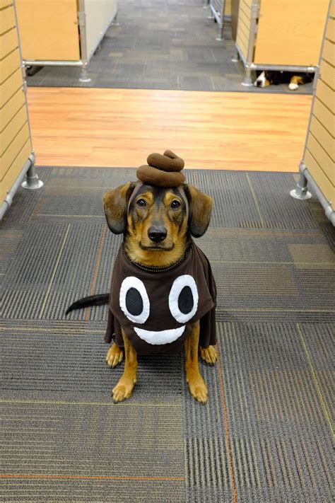 Everyone's favorite emoji. Happy Howloween! | Kostüm hund, Hunde in ...