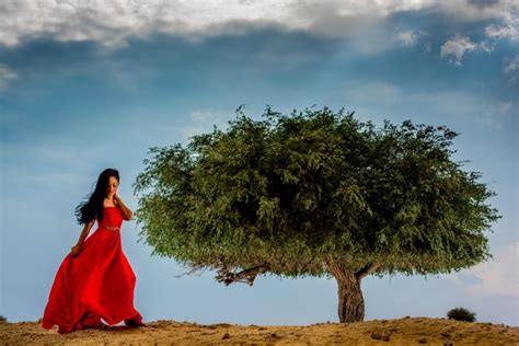 Photos: Timeless shades of ghaf, UAE’s national tree | Lifestyle-photos ...