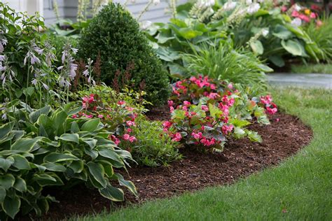 Mulching Do's and Don'ts