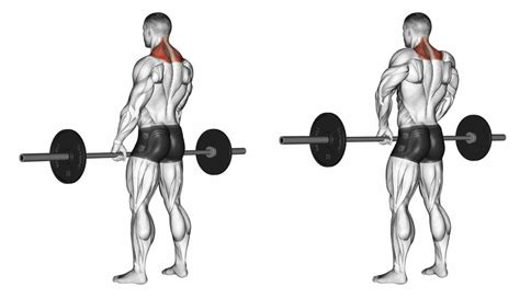 Massive Traps – 6 Exercises Must Do ~ www.bodybuilding110.com