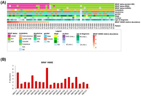 Patient clinical data and BRAF status for metastatic melanoma. (A) Heat ...