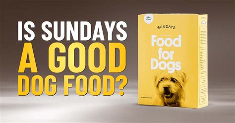 Sundays Dog Food Reviews - Dogs Naturally