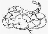 Rattlesnake Coloring Pages sketch template