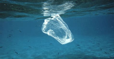 La quantité de déchets plastiques dans les océans pourrait tripler d ...