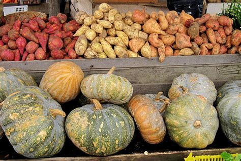 ground provisions - Caribbean Dictionary