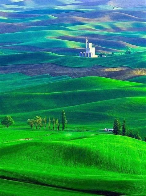 Palouse, Washington. | Cool places to visit, Wonders of the world, Palouse