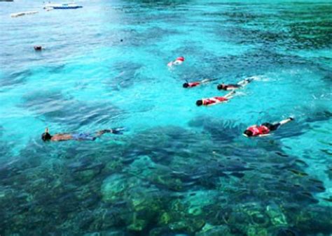 Langkawi Snorkeling Tour