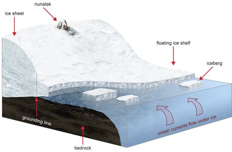 Antarctic Larsen-C ice shelf at risk of collapse, study warns - Carbon ...