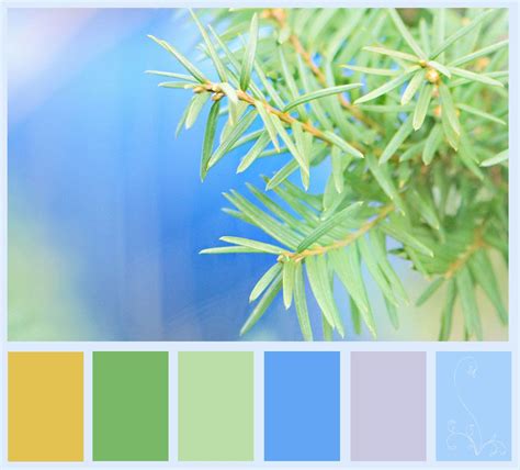 pine+color+palette Lovely Things, Color Palettes, Pine, Desktop Screenshot, Art, Pine Tree, Art ...