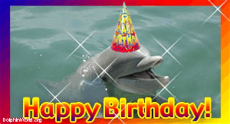 Dolphin Birthday Quotes. QuotesGram