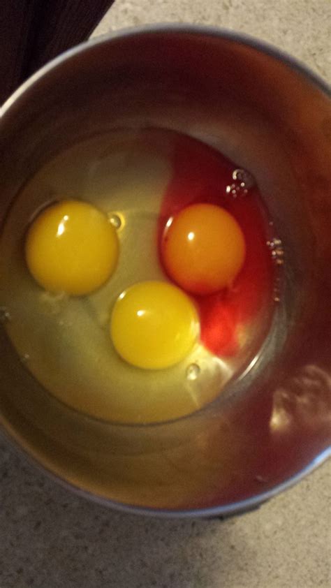 What would cause the egg white, Albumen, to be stained blood red ...