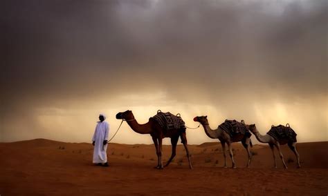 Desert Nomads: Bedouin Life and Culture in the Sahara | Small Online ...