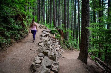 Rattlesnake Ledge Trail Guide - Go Wander Wild