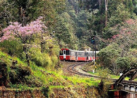 Alishan Forest Railway - Alchetron, The Free Social Encyclopedia