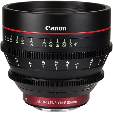 Wildlife Filming at 4K | Lenses for Canon EOS 1D C