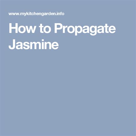 How to Propagate Jasmine | Propagation, Jasmine, Arabian jasmine