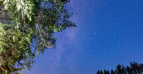 Starry Night Sky Over a River · Free Stock Photo