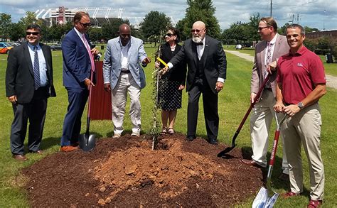 Coach Shane Beamer, others plant national championship tree - Who's On ...