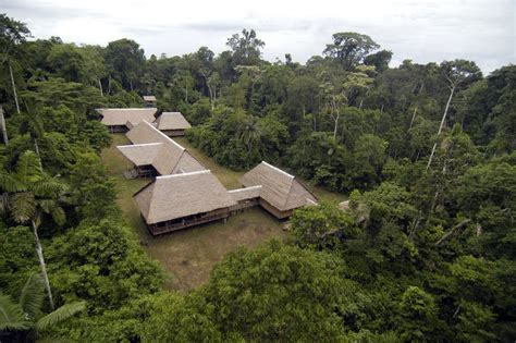 The Most Remote Lodge in the Amazon Rainforest | Rainforest, Amazon rainforest, Lodge