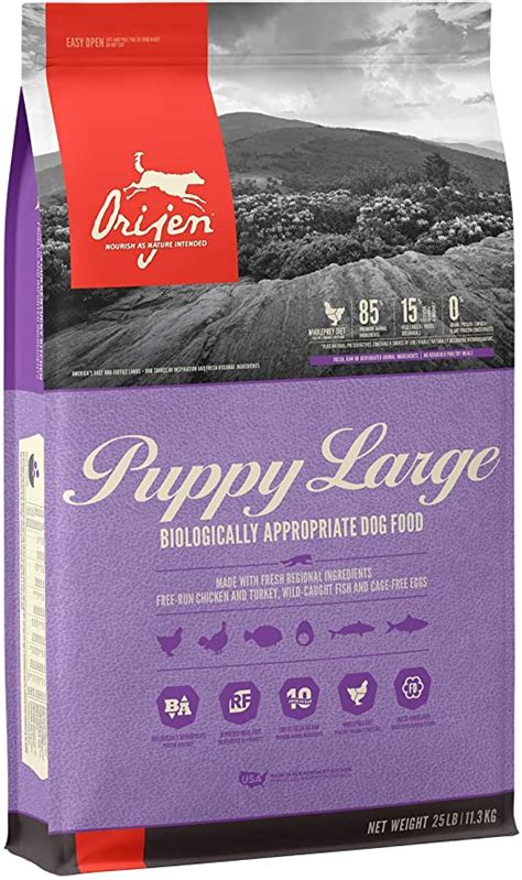 Amazon.com: ORIJEN Puppy Dry Dog Food for Large Breeds, Grain Free ...