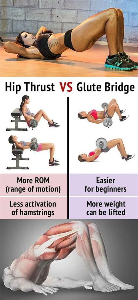 Improve Your Glute Bridge Form To Build A Strong Set Of Glutes And Legs - GymGuider.com | Glute ...