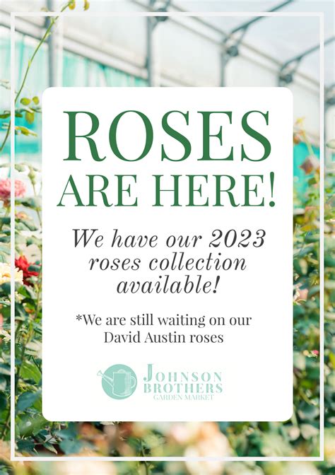 Our 2023 Rose Collection Is Here! - Johnson Brothers