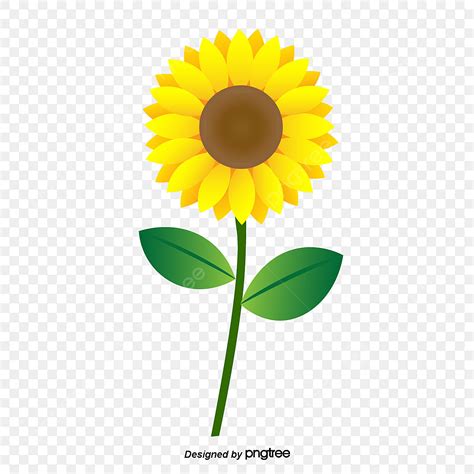 Flores De Girasol Lindo De Dibujos Animados PNG , Clipart De Flores ...