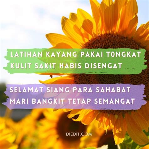 60 Pantun Selamat Siang untuk Sahabat dan Pacar | diedit.com