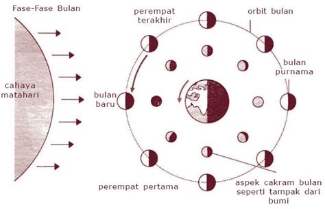 Pengertian Rotasi Bulan dan Fase-fase Bulan (Purnama, Bulan Sabit ...