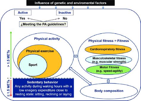 Graphical illustration of physical activity-and fitness-related... | Download Scientific Diagram