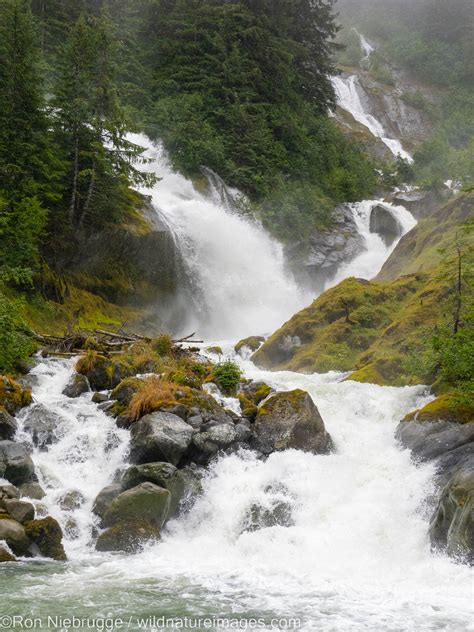 Tongass National Forest | Tongass National Forest, Alaska | Photos by Ron Niebrugge