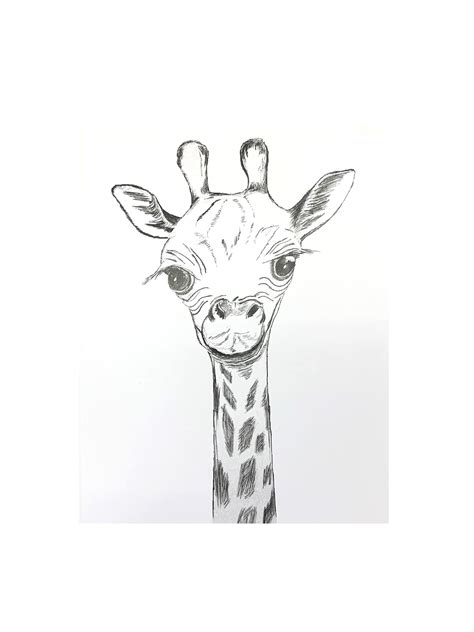 Top 117+ pencil giraffe drawing best - seven.edu.vn