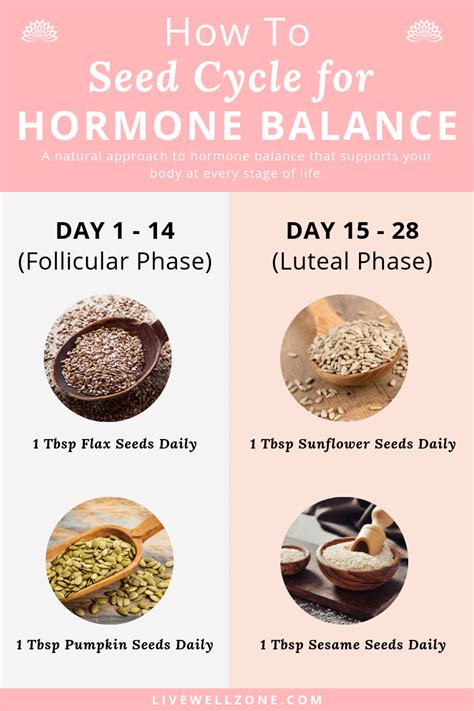 A Beginner's Guide to Seed Cycling for Hormone Balance | Seed cycling, Foods to balance hormones ...